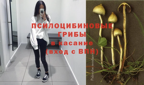МДМА Алексеевка