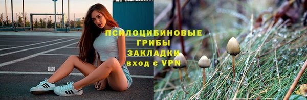 таблы Горняк